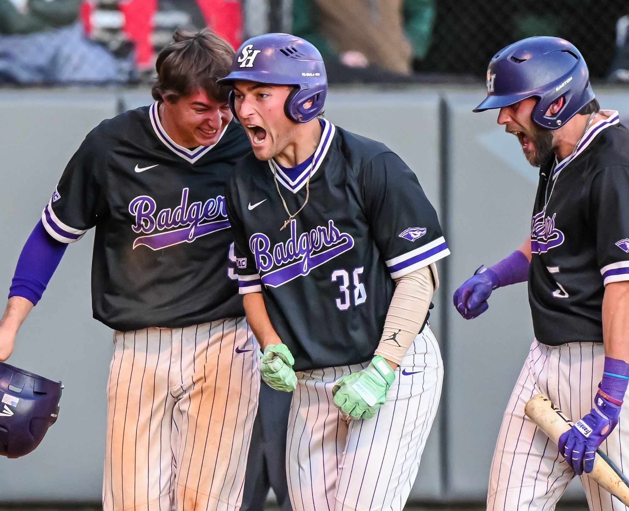 Baseball Celebration 