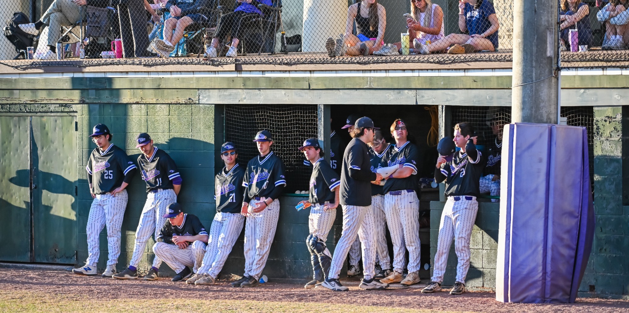 Baseball Dugout Shot
