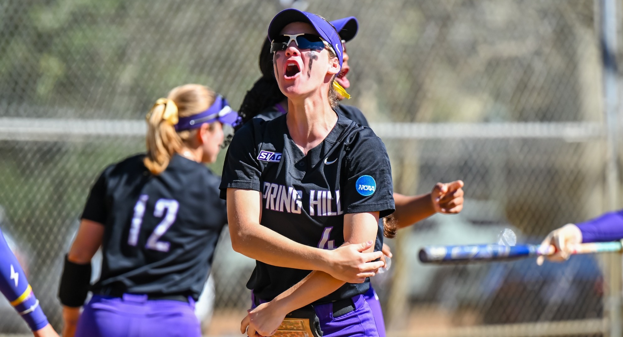 Softball Celebration