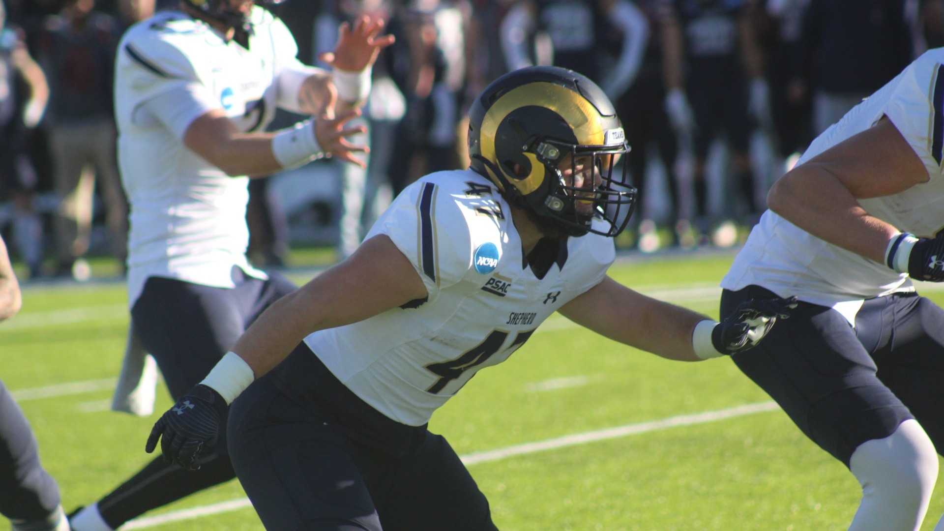 Michael McCook Football Shepherd University Athletics
