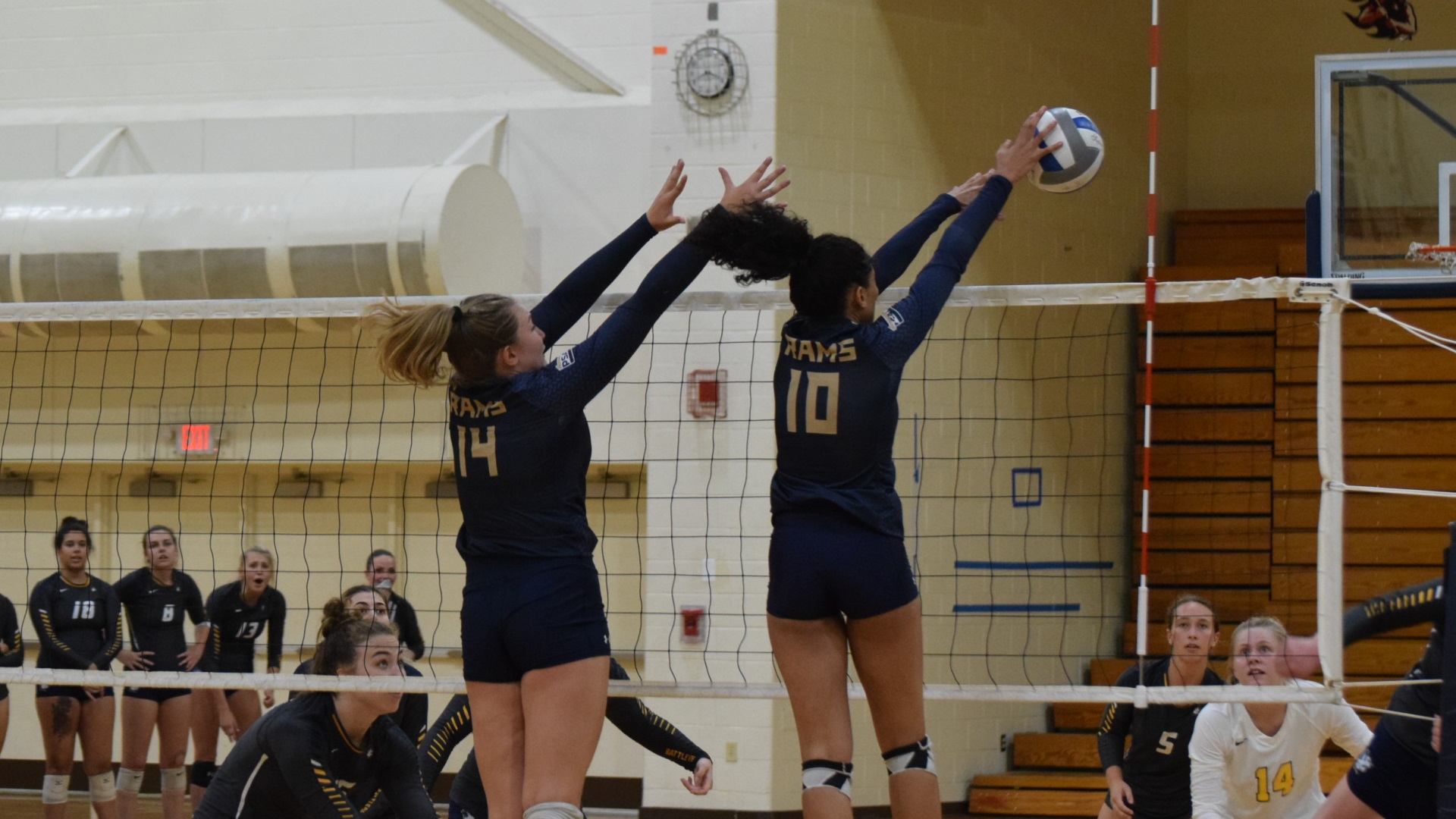 Kitanna Rakestraw Women's Volleyball Shepherd University Athletics