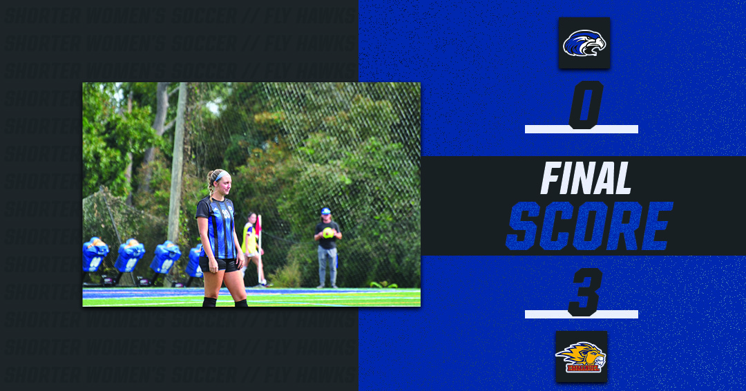 Hawks fall to Emmanuel College Lions Shorter University Athletics