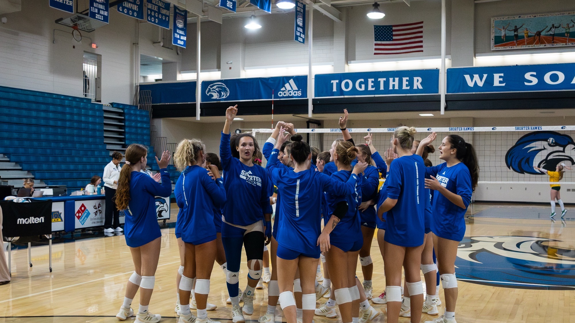 VB Team
