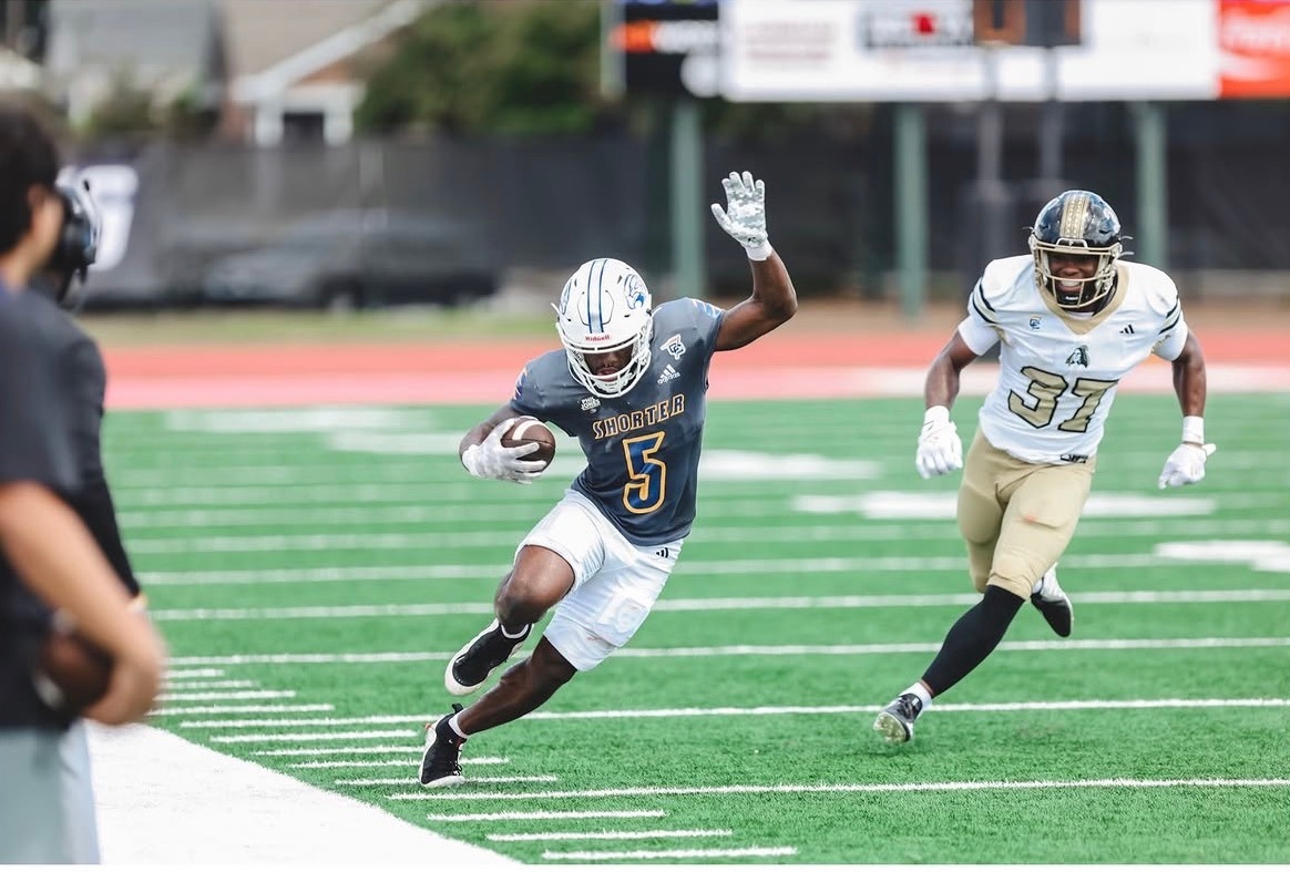 David Hill