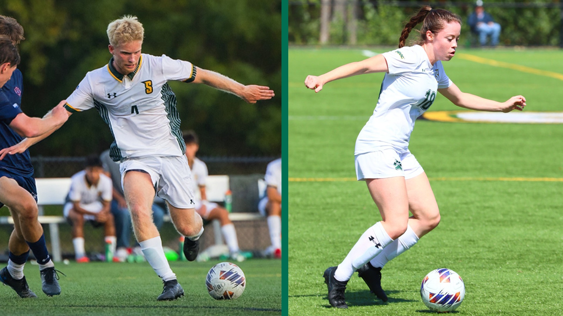 Split graphic Svensson and Snape