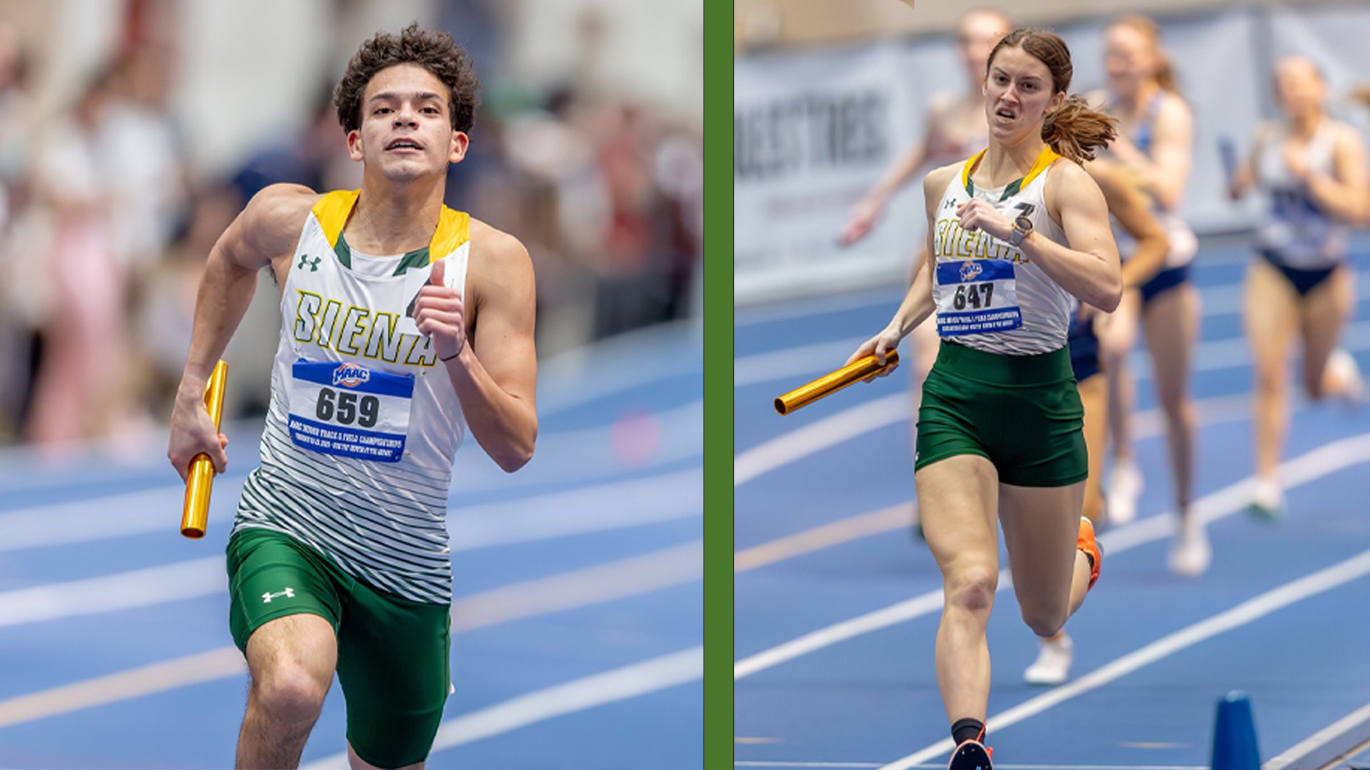 Frattarola O'Rourke split graphic 11-11-25