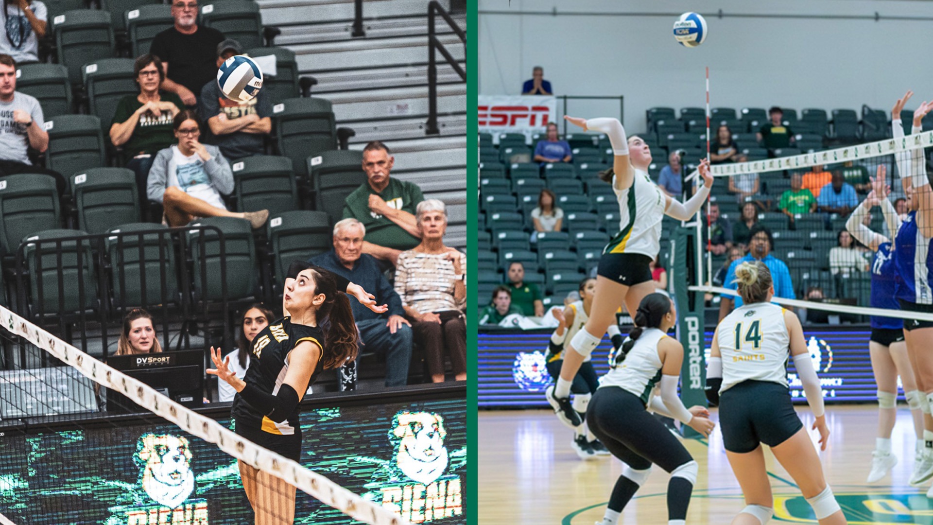 Split Graphic All-MAAC DD MD