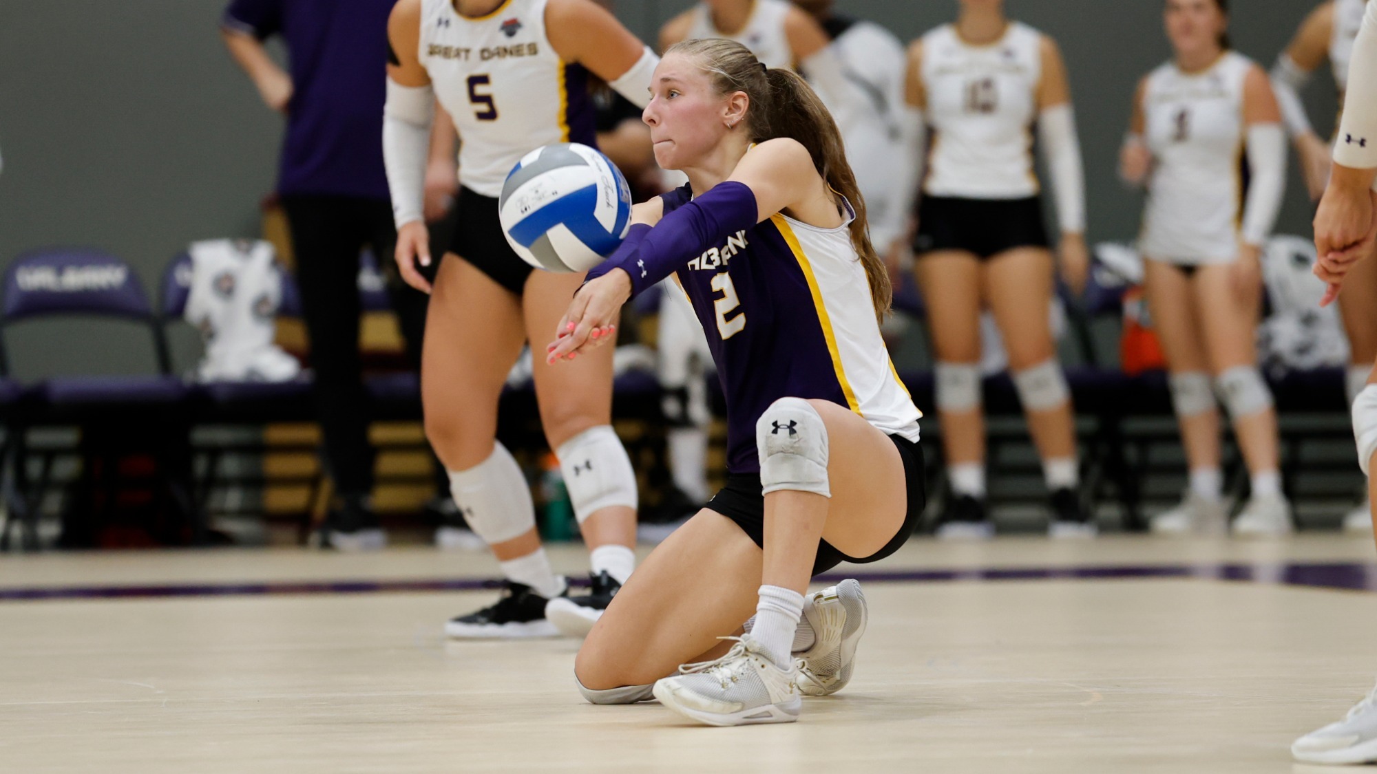 Brooke Malek UAlbany transfer