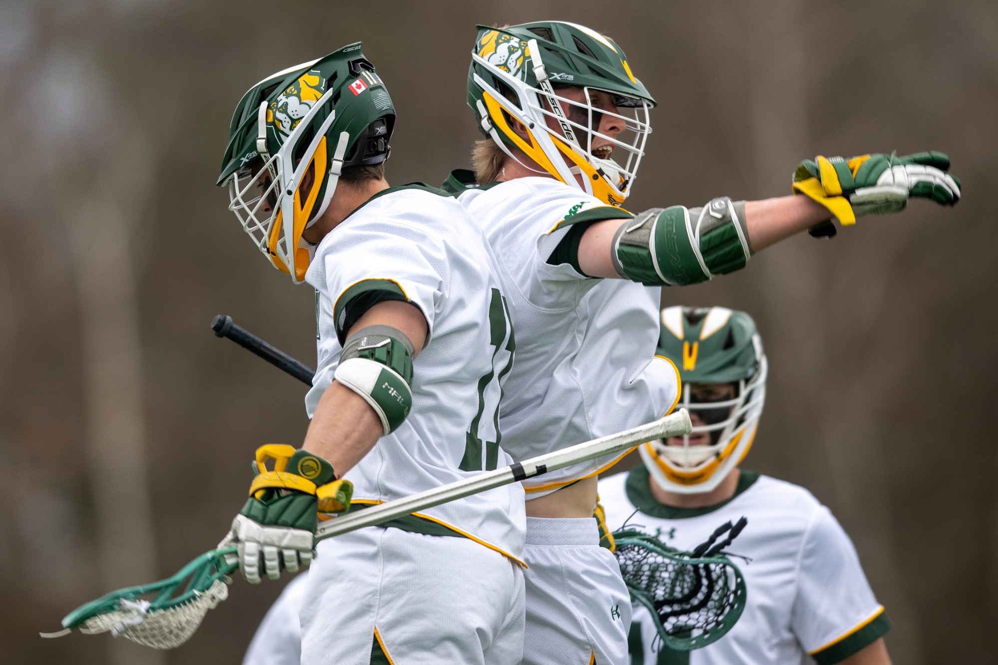 Hufnagel Olmstead celebration