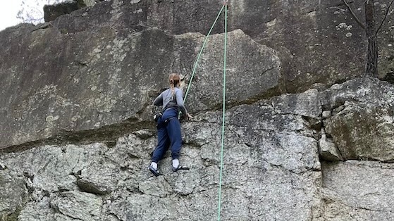 Catherine Williamson Scoop Feature Photo 