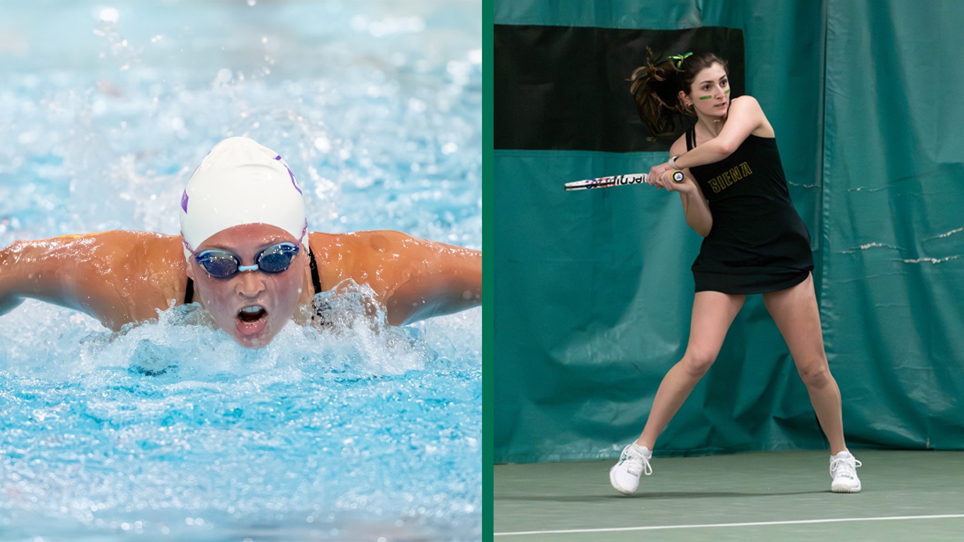 Dufort split graphic Amedio De Faber-Schumacher