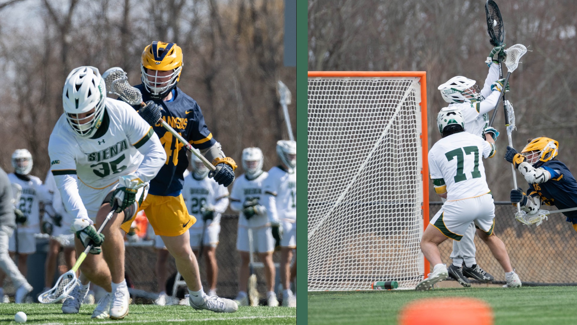 Banek DeBellis split graphic