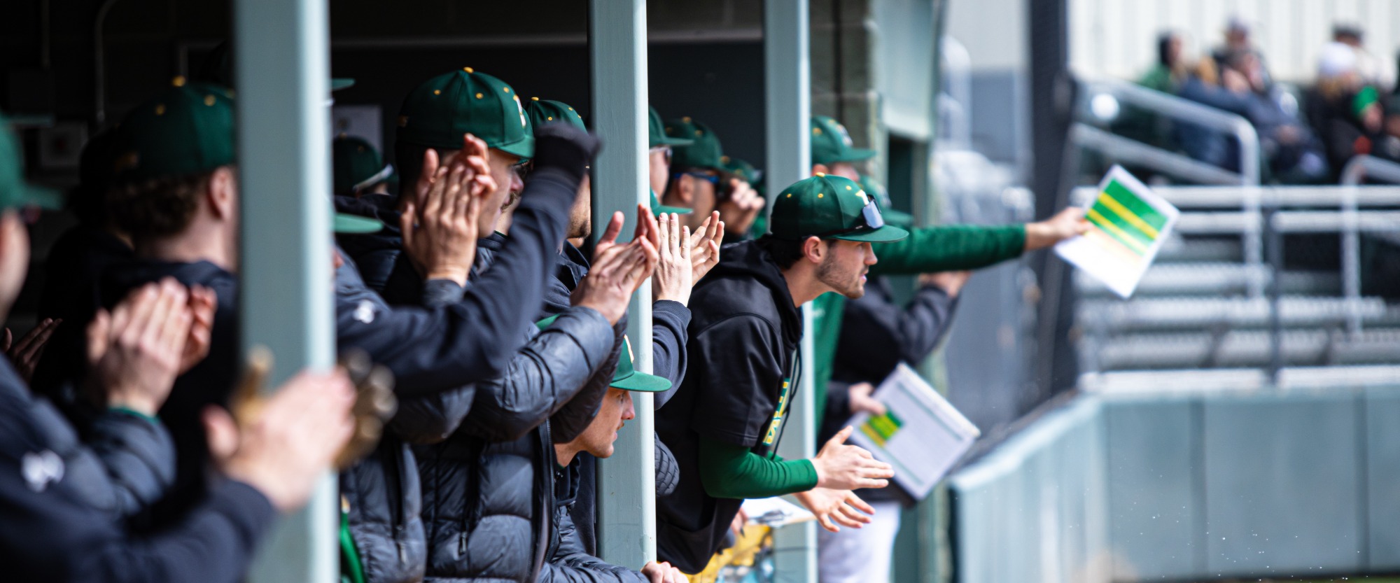 team celebration dugout