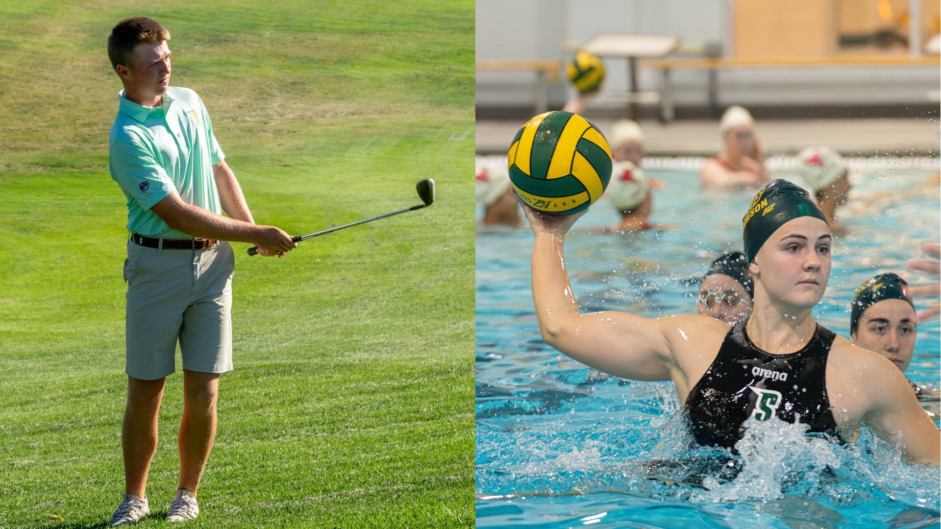 McConie Williamson split graphic