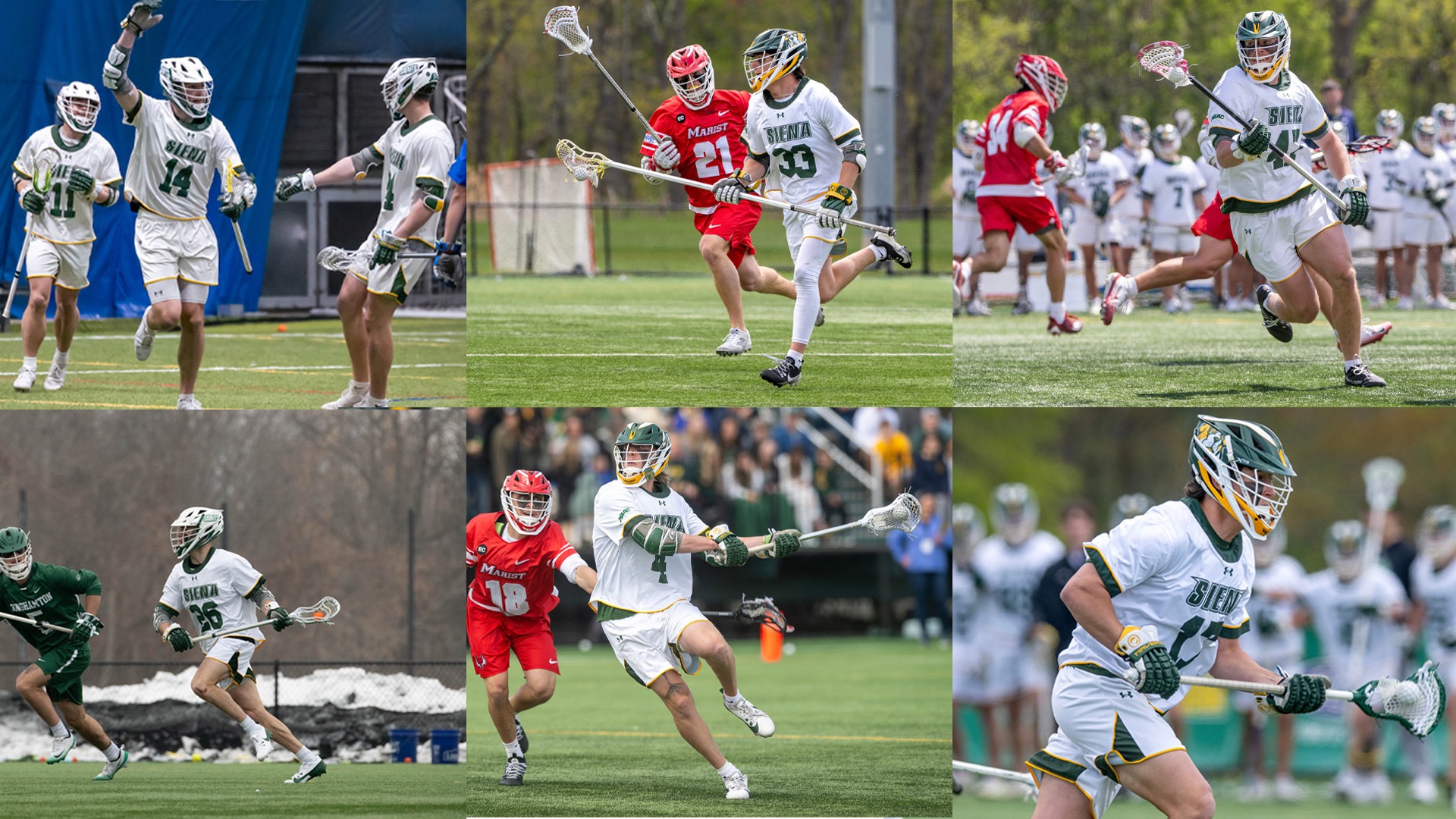 USILA Scholar All-Americans