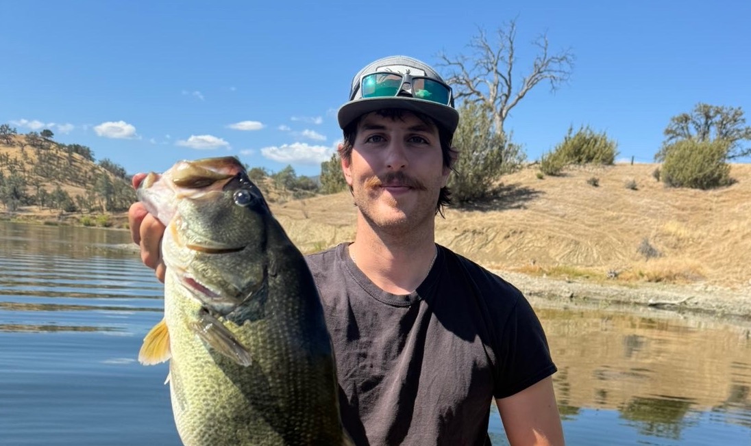 Bass 26