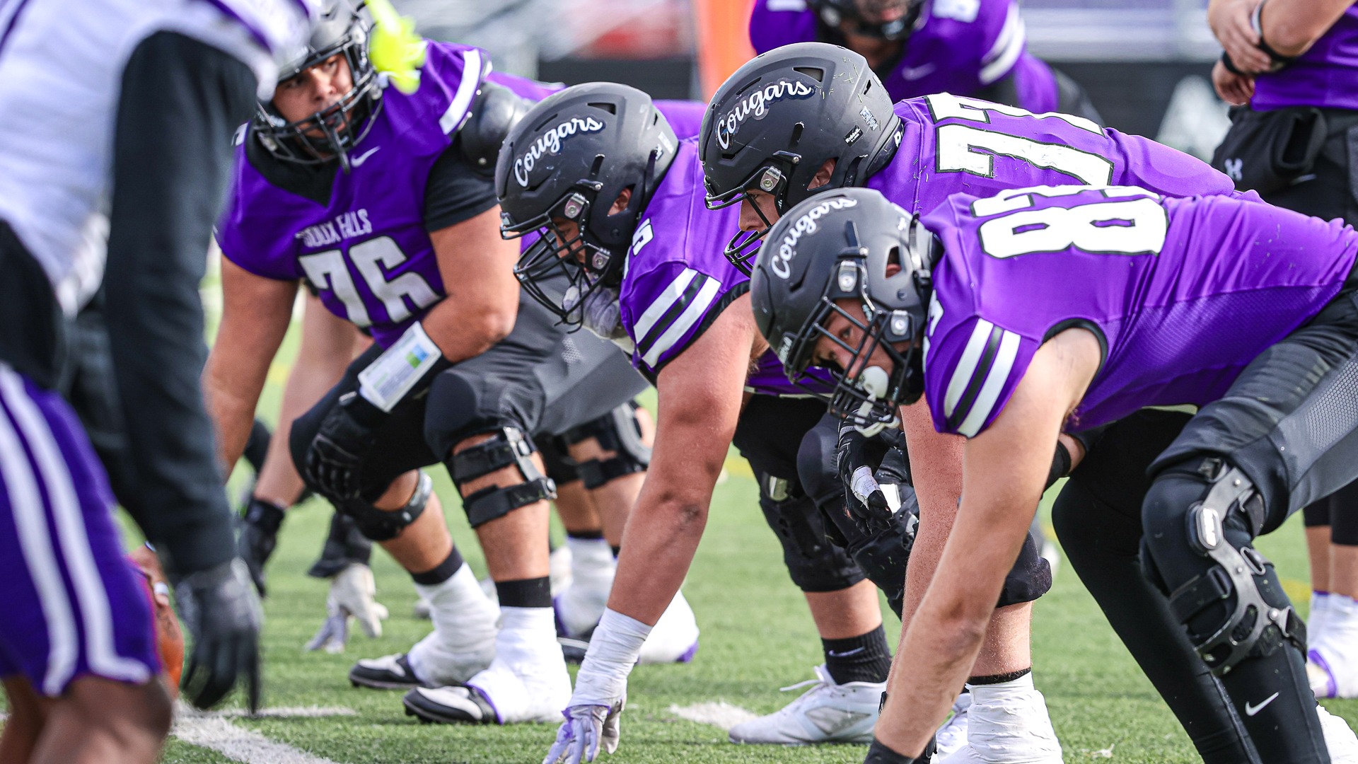 USF Football Offensive Line against Winona State