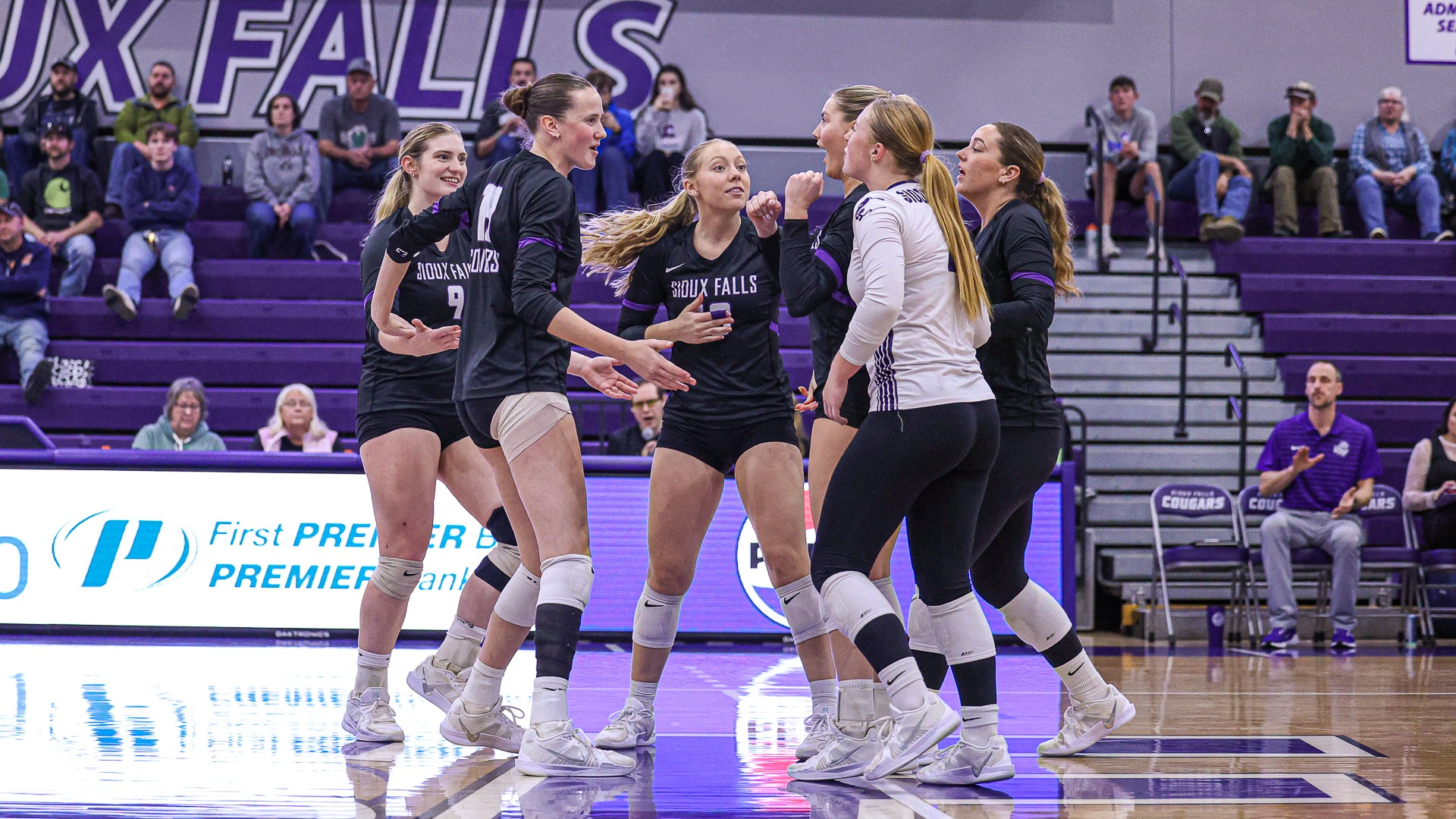 USF VB Cheers after point against Mary
