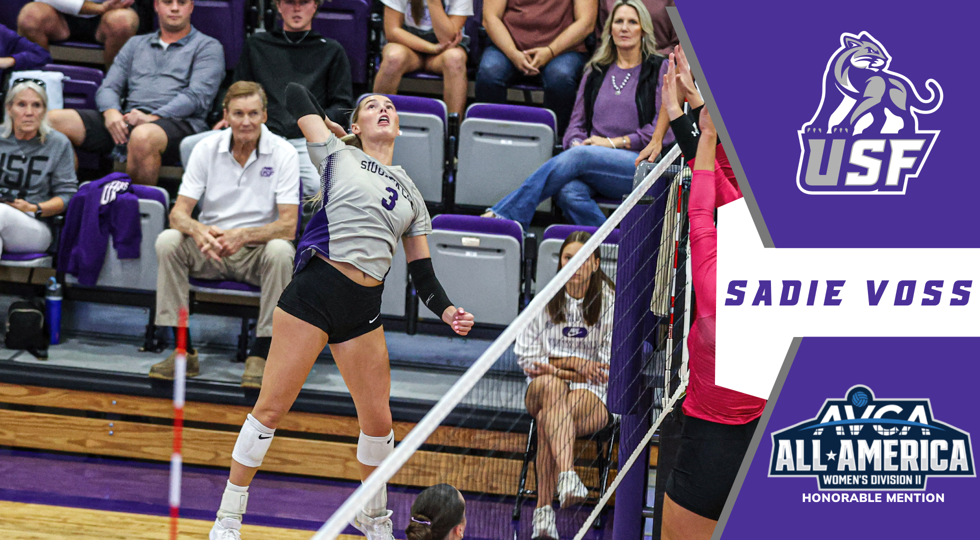 Sadie Voss HM All-American