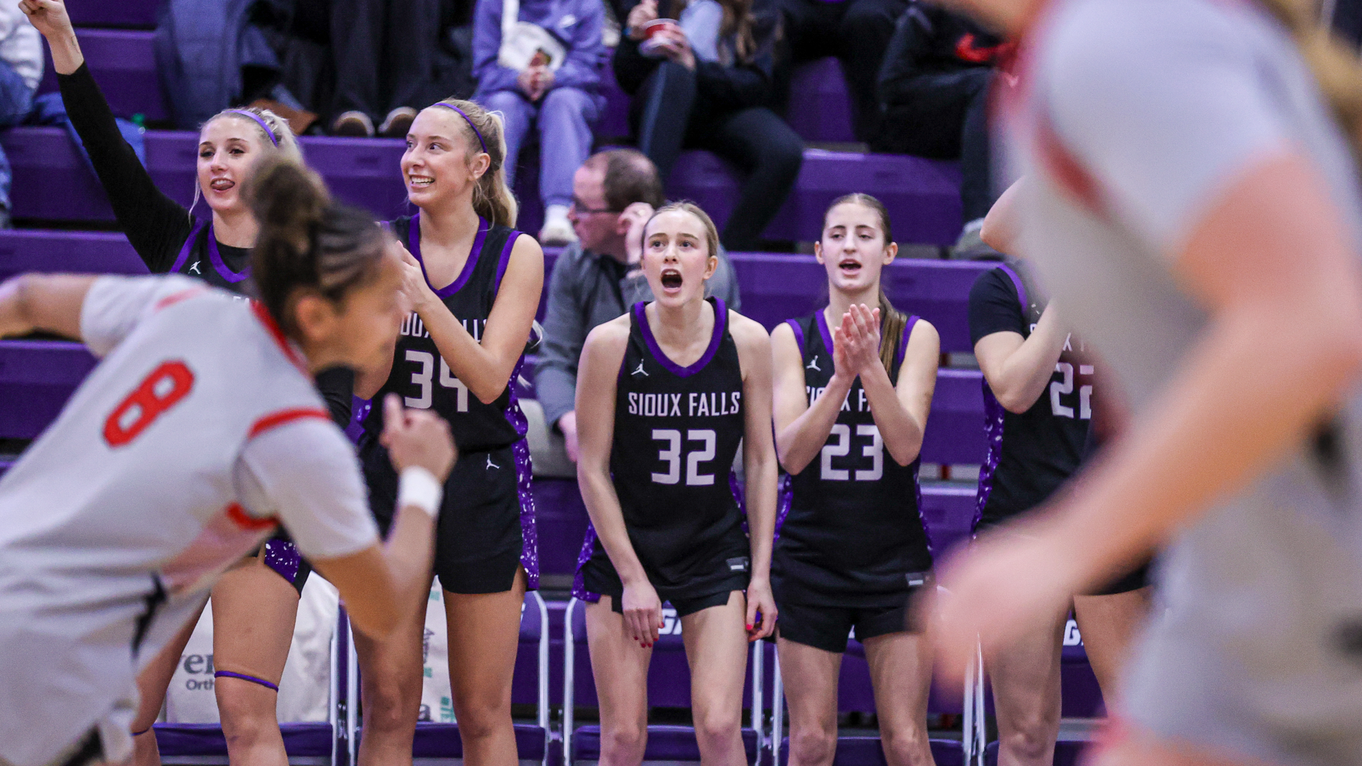 USF Bench Celebrates