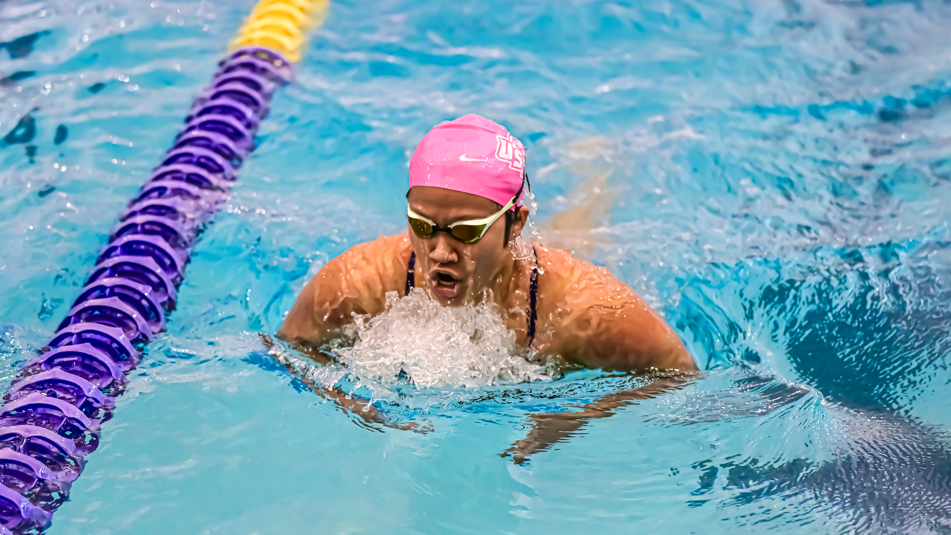 USF Swimming