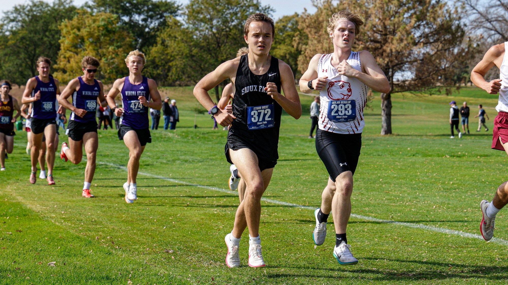 Male cross country runner running in a race