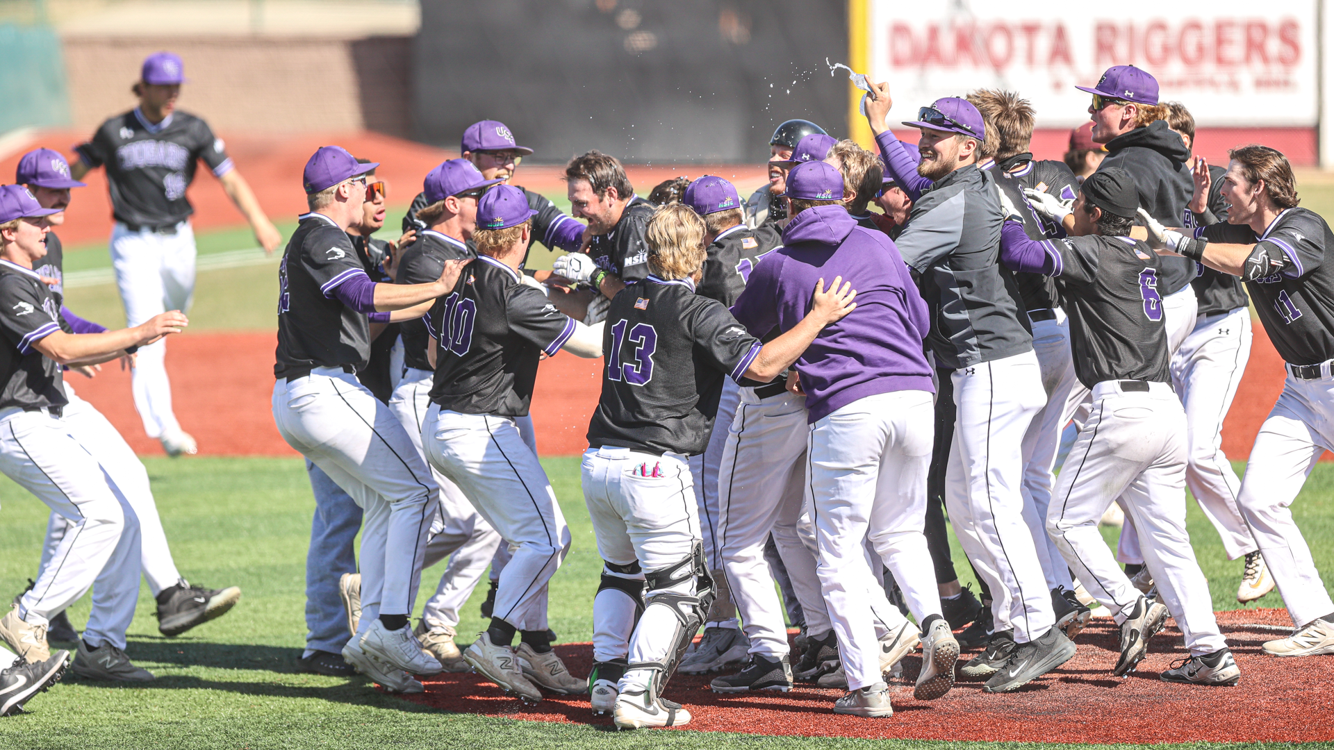 USF Baseball Celebrates a walk off