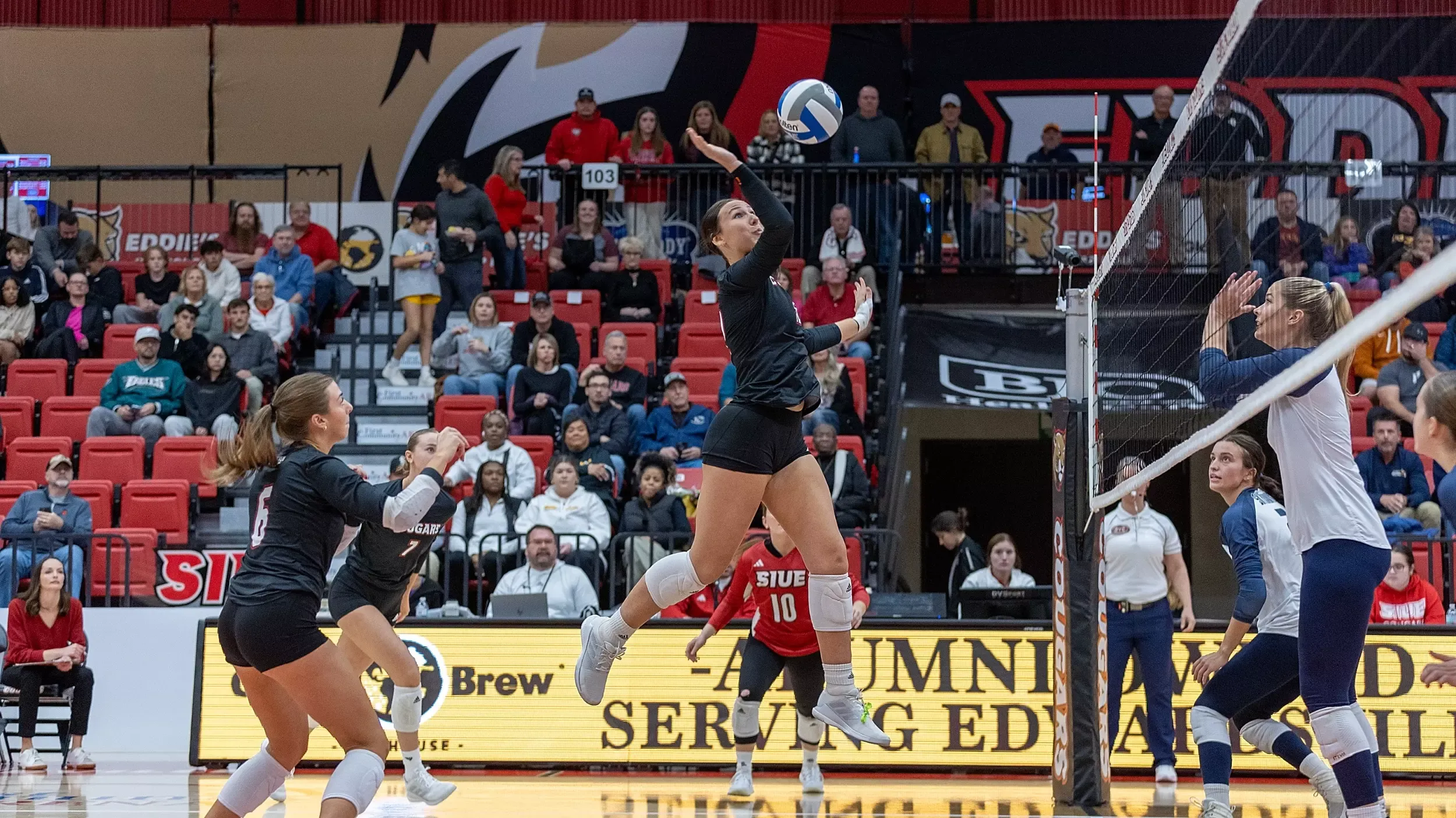 Volleyball vs USI 11-15-2024: SIUE Cougars Volleyball host the UT Martin Skyhawks for a match at the Vadalabene Center on the campus of Southern Illinois University Edwardsville Friday, November 15, 2024. (Photo: Scott Kane/SIUE Athletics)