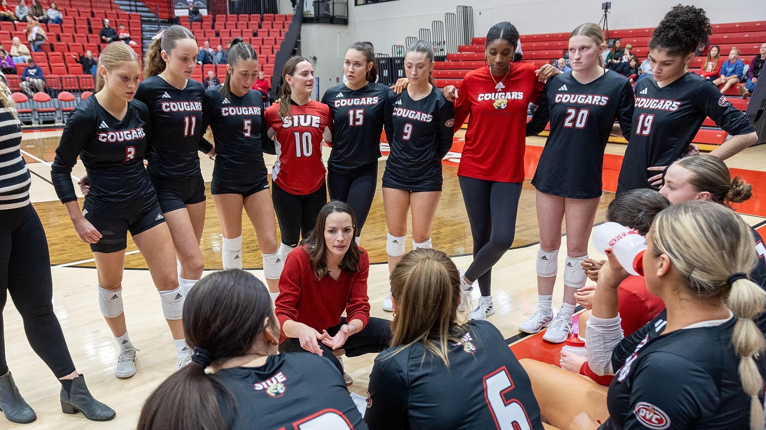 Volleyball vs USI 11-15-2024: SIUE Cougars Volleyball host the UT Martin Skyhawks for a match at the Vadalabene Center on the campus of Southern Illinois University Edwardsville Friday, November 15, 2024. (Photo: Scott Kane/SIUE Athletics)