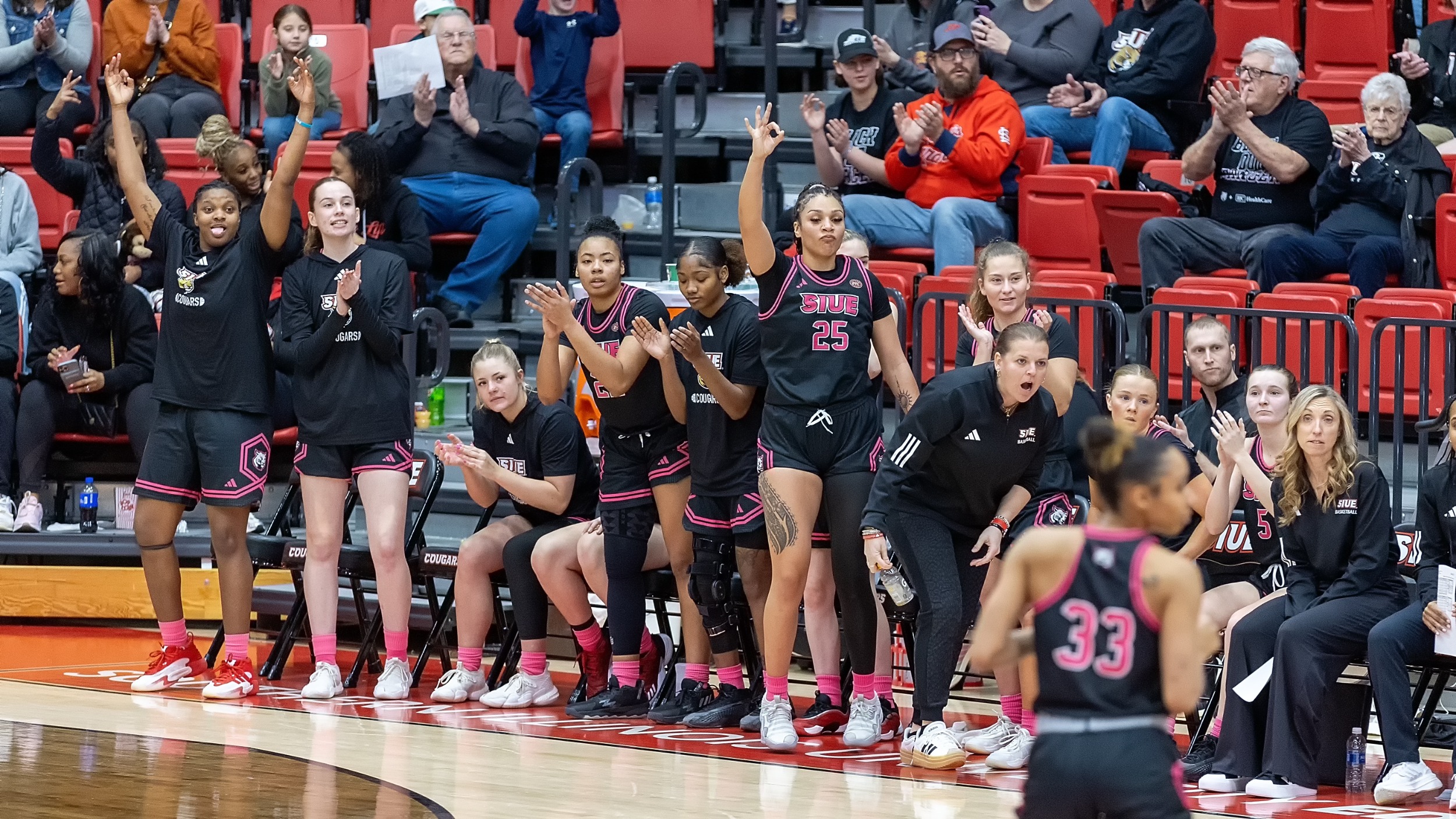 WBB Women’s Basketball v Tennessee State 02-15-25:SIUE Cougars women’s basketball host the Tennessee State Tigers for a basketball game at the First Community Arena in the Vadalabene Center Saturday, February 15, 2025 on the campus of Southern Illinois University Edwardsville. (Photo: Scott Kane / SIUE Athletics)