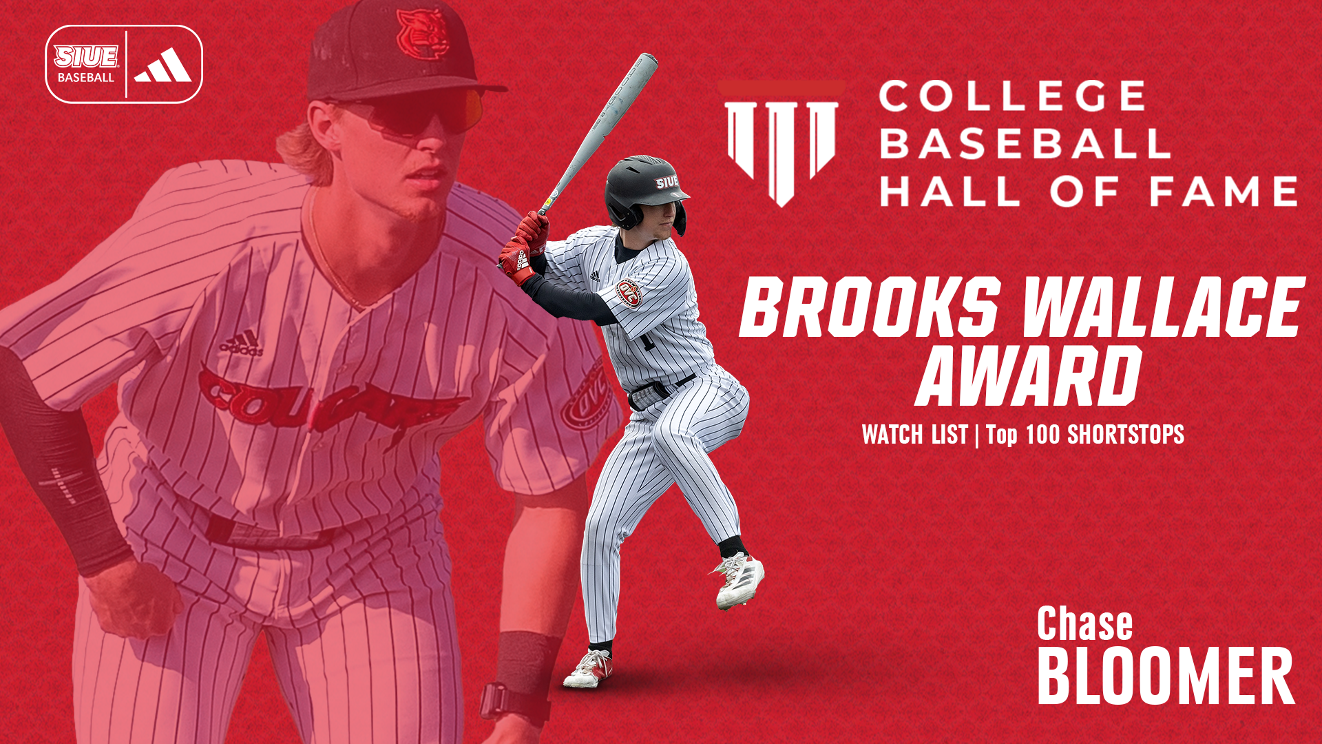 Bloomer Brooks Wallace Watch List
