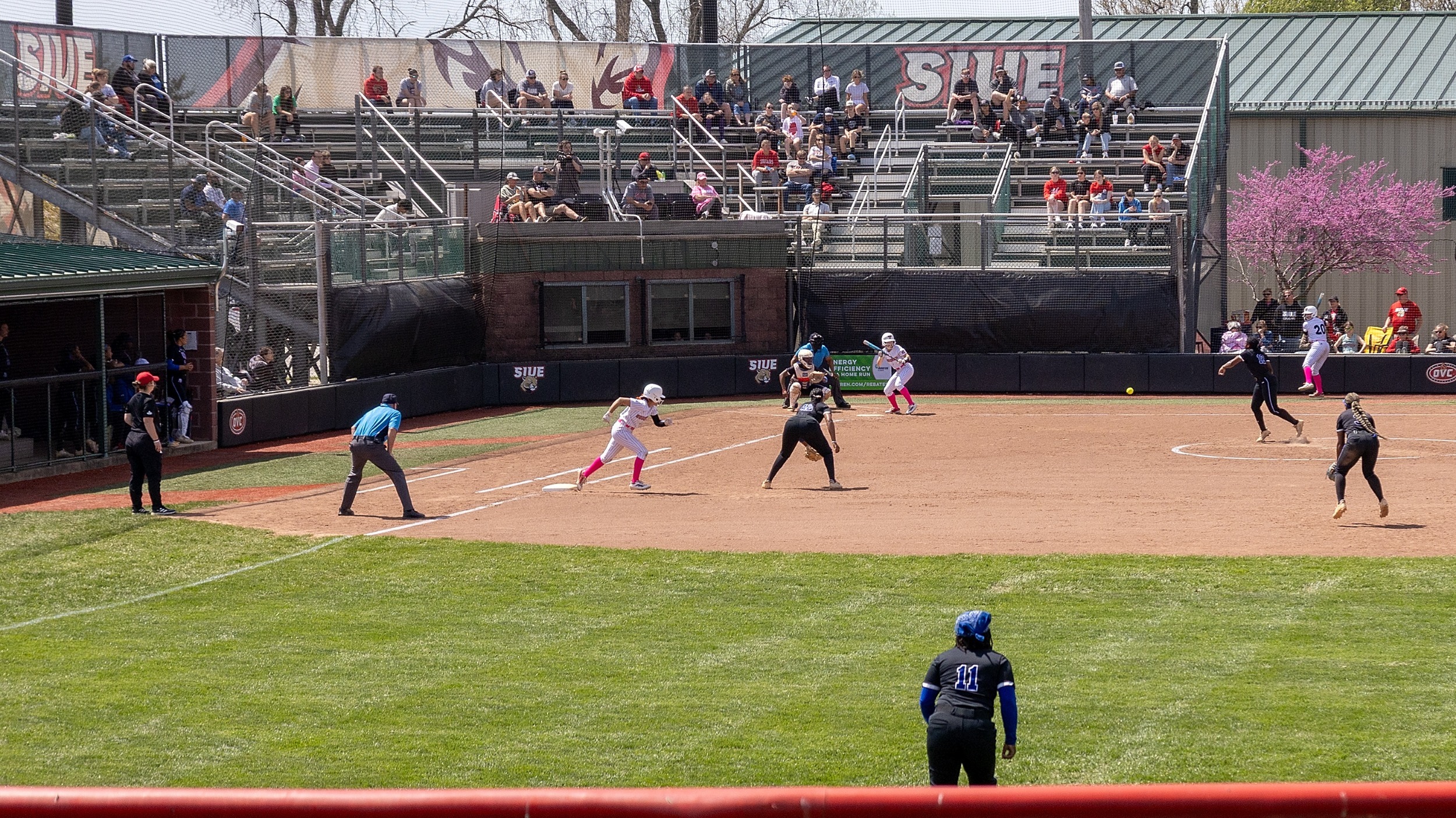 Softball vs Tennessee State :  04-13-25 SIUE Cougars Softball faced off against the Tennessee State Tigers on the campus of Southern Illinois University Edwardsville Sunday, April 13, 2025.  (Photo: Scott Kane/SIUE Athletics)