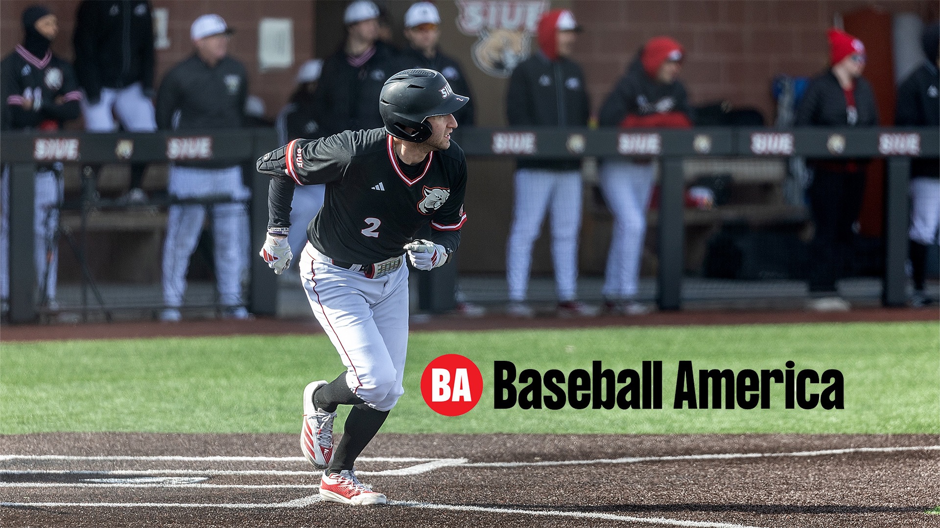 Niedzwiedz Baseball America Team of the Week