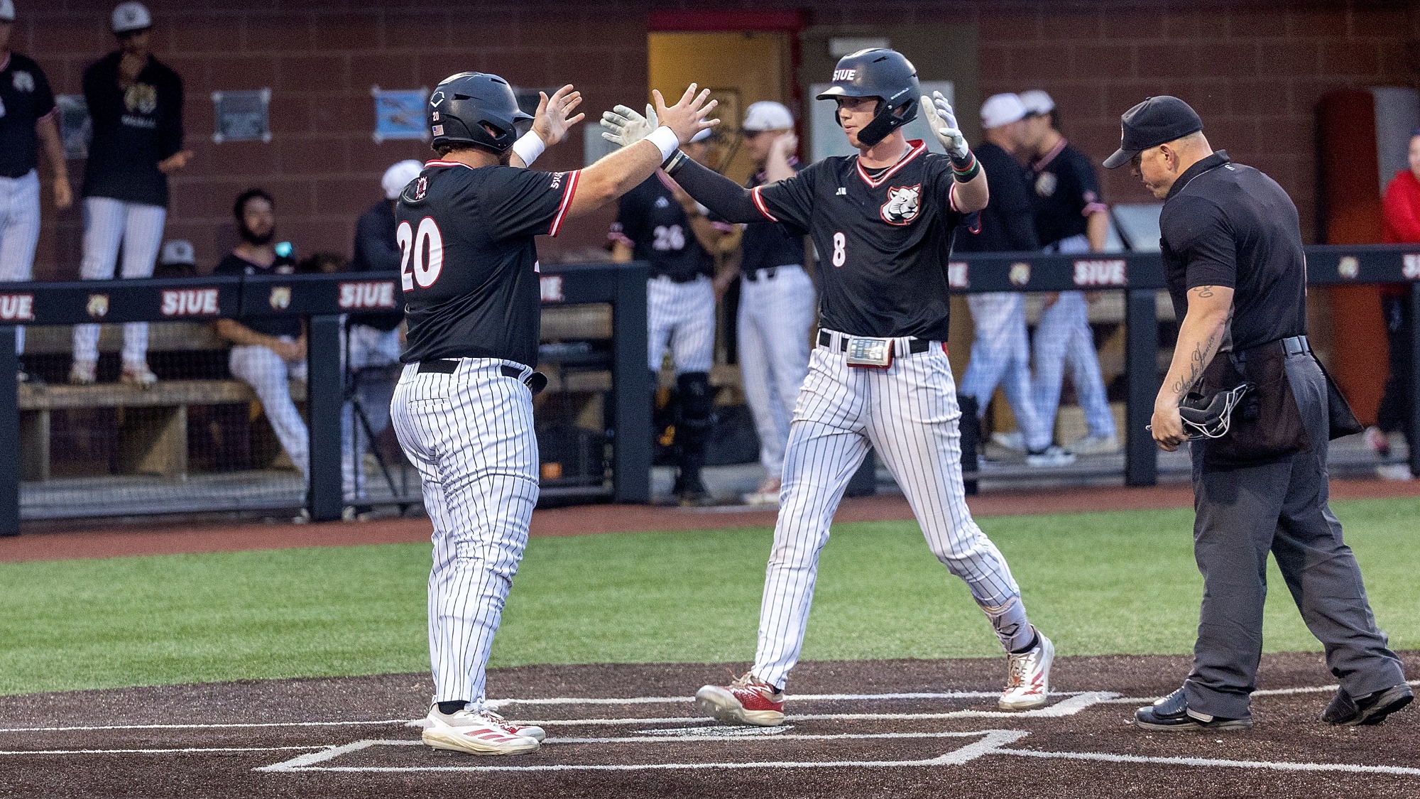 Baseball vs Saint Louis 04-15-26: SIUE Cougars Baseball played against the Saint Louis Billikens at the Simmons Baseball Complex on the campus of Southern Illinois University Edwardsville on Wednesday, April 15, 2026.  (Photo: Scott Kane/SIUE Athletics)
