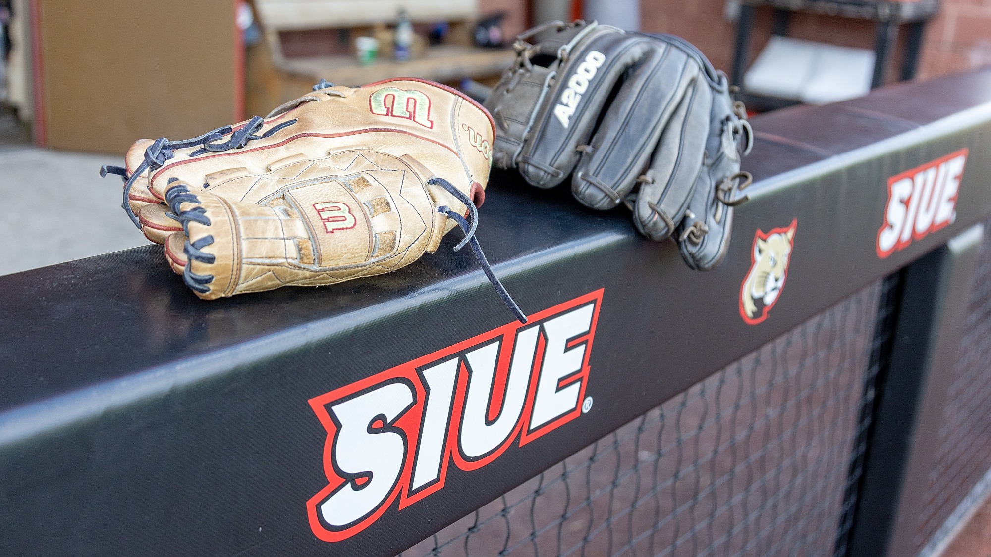 Baseball vs UT Martin 05-15-26: SIUE Cougars Baseball played against the UT Martin Skyhawks at the Simmons Baseball Complex on the campus of Southern Illinois University Edwardsville on Friday, May 15, 2026.  (Photo: Scott Kane/SIUE Athletics)