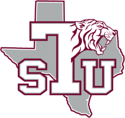 Opponent Logo