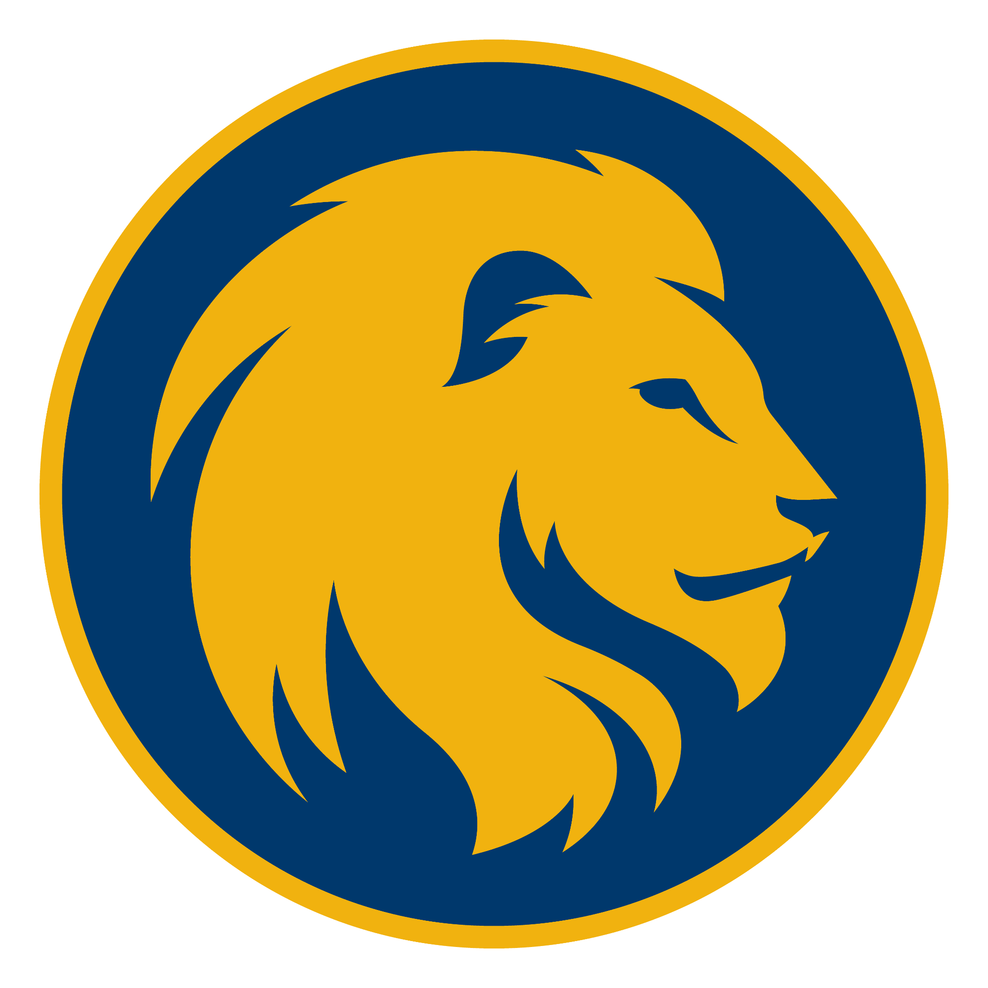 Opponent Logo