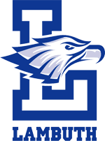 Opponent Logo