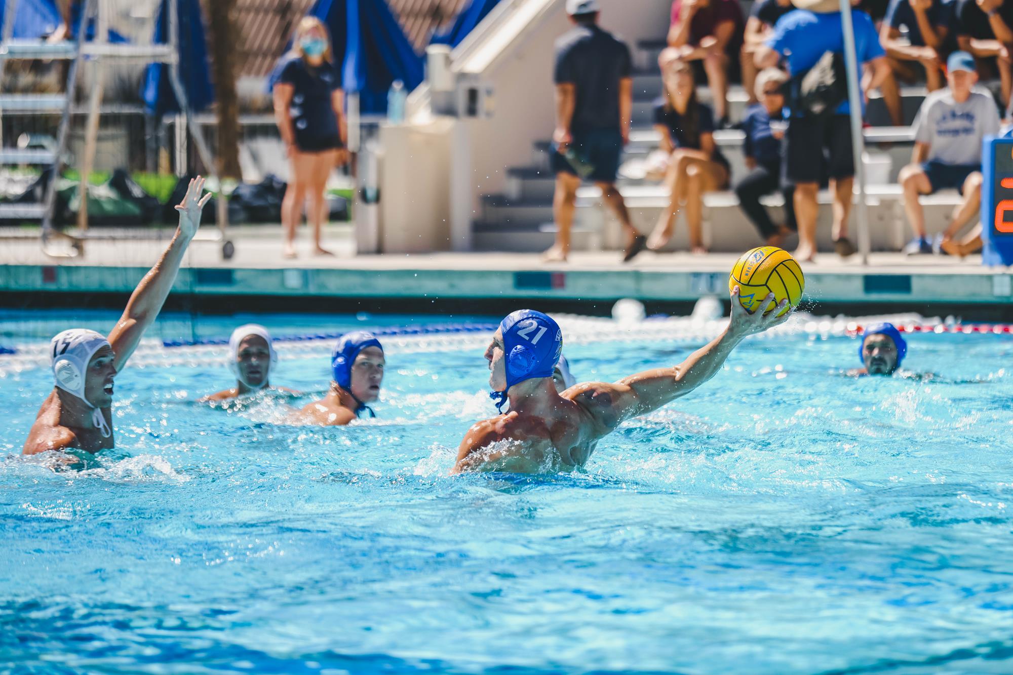 Bende Pardi Men's Water Polo SJSU Athletics