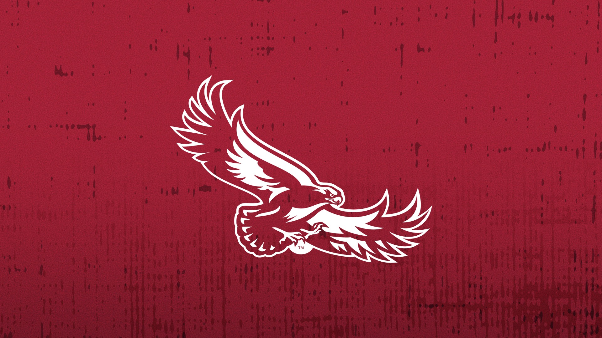 Generic Background with Hawk Logo in White