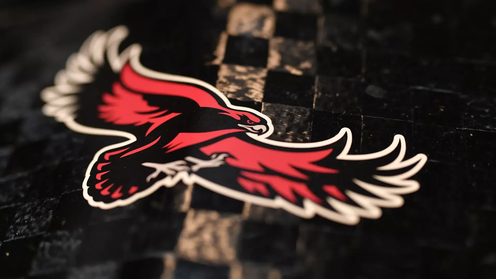 2025-26 women's rowing skull hawk logo