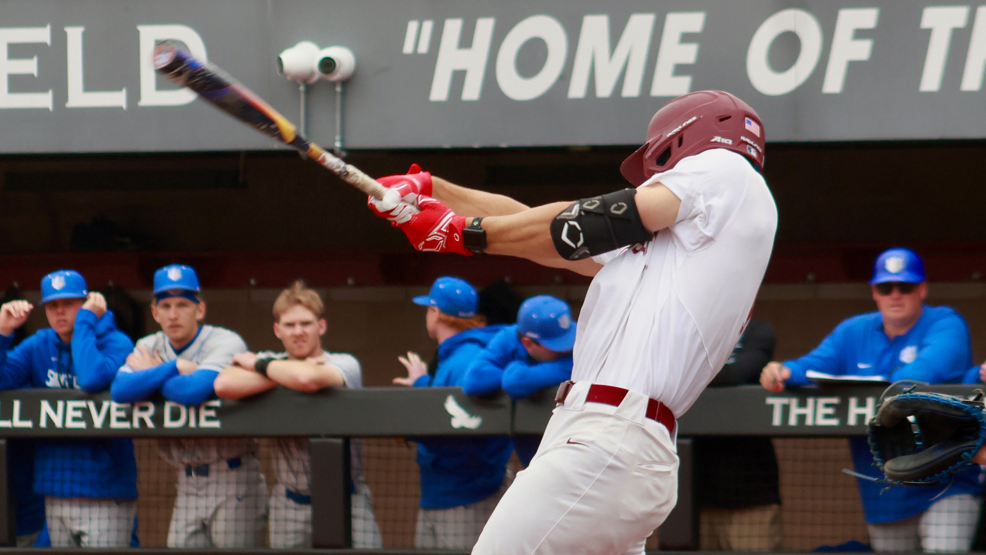 Joey Gale Baseball 2026