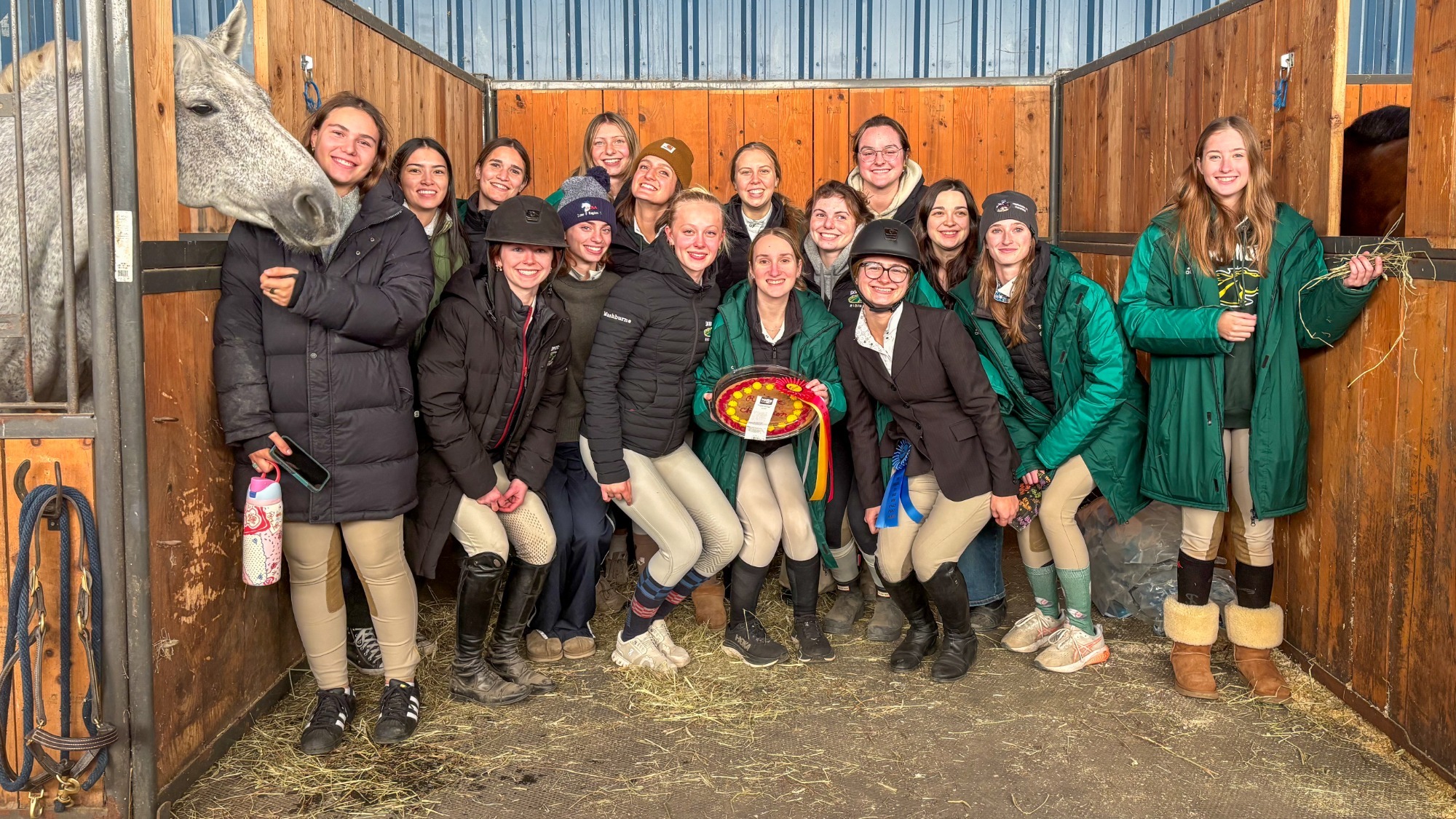 Equestrian 101926
