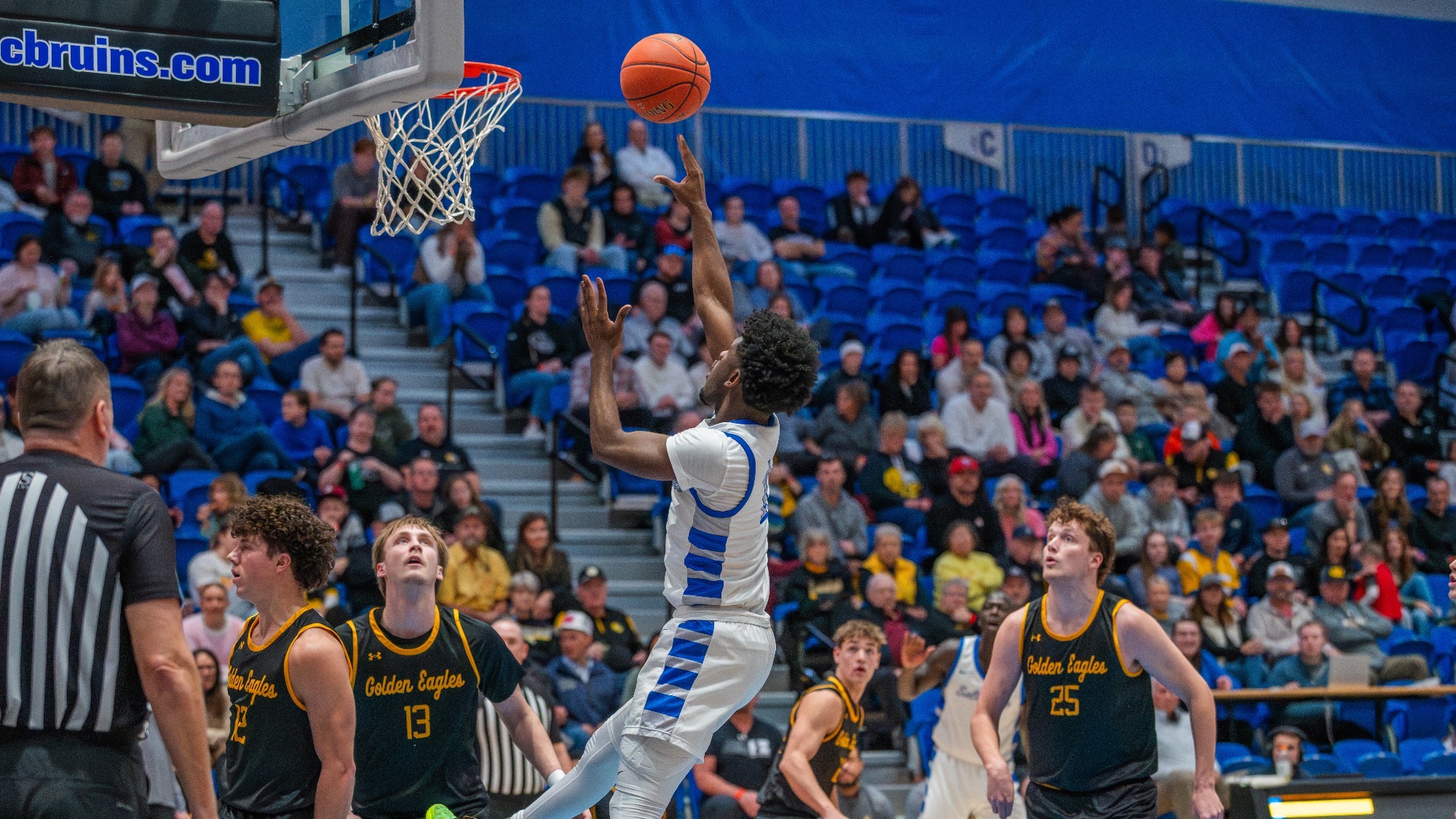 Danny young Jr. Floater