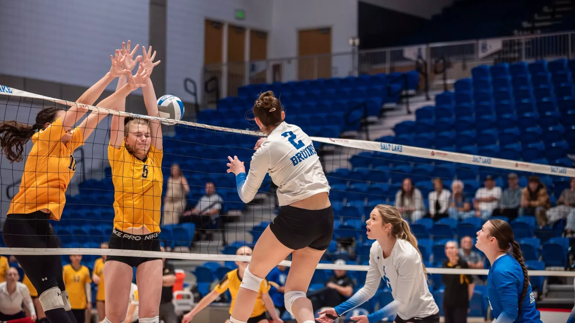VBall Rylee Parkinson