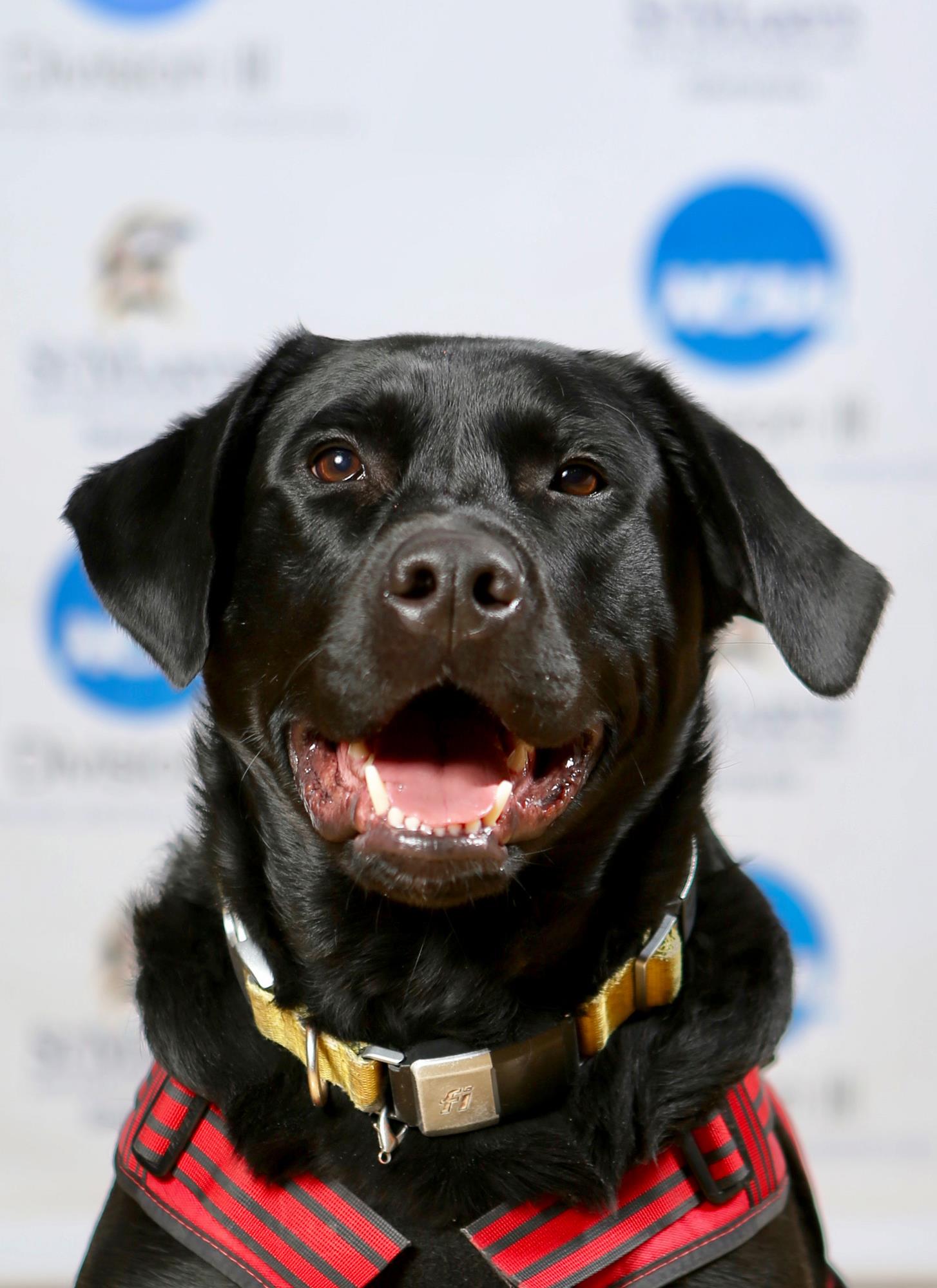 Winston 2022 Headshot