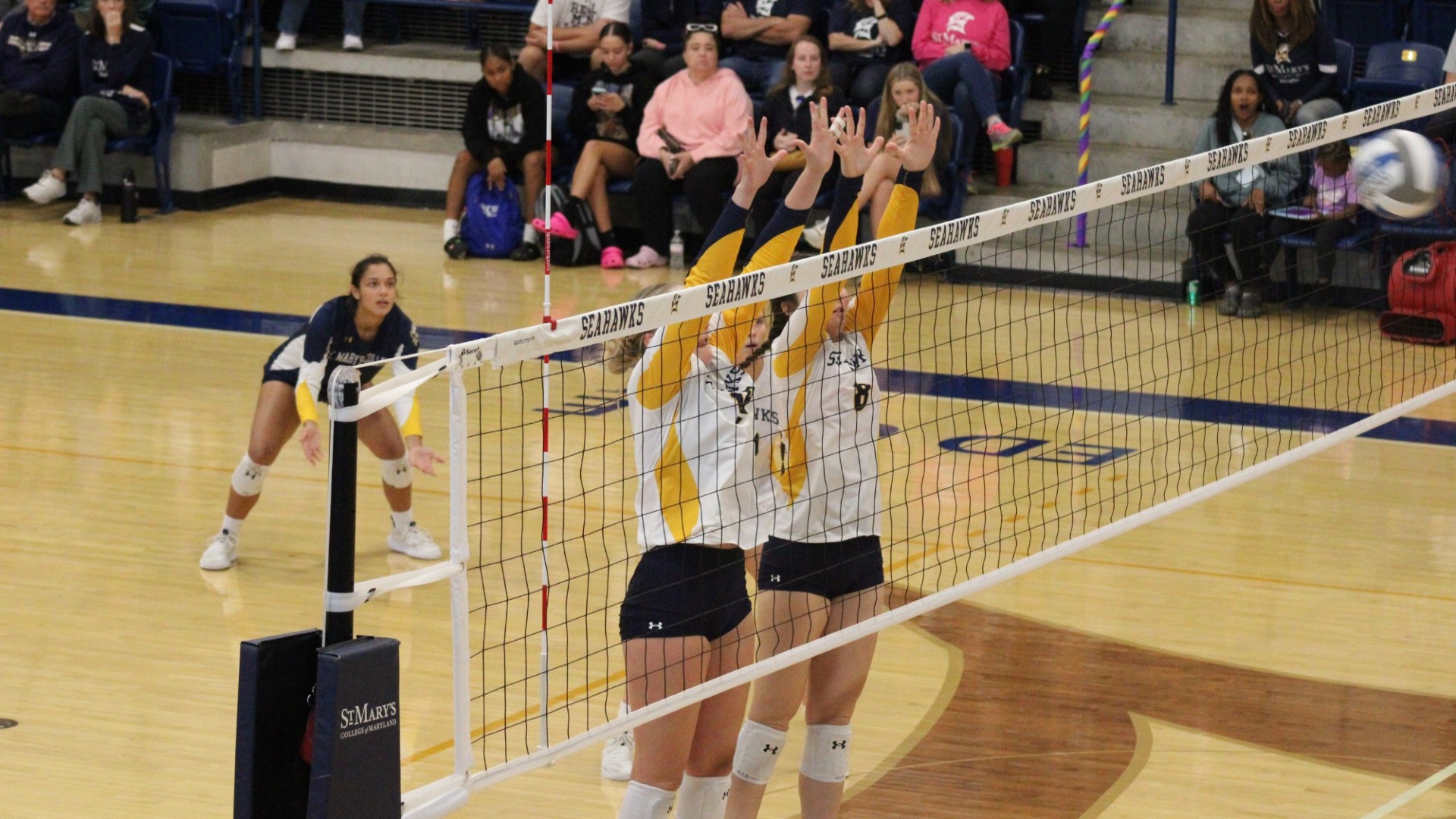 Marrero Selected as United East Women’s Volleyball Defensive Player of