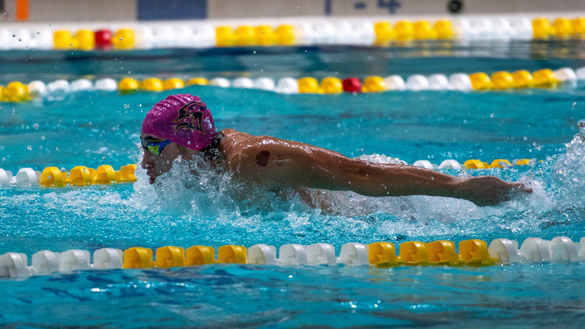 St. Mary’s College Men’s Swimming Begins Action at Atlantic East Championships St. Mary