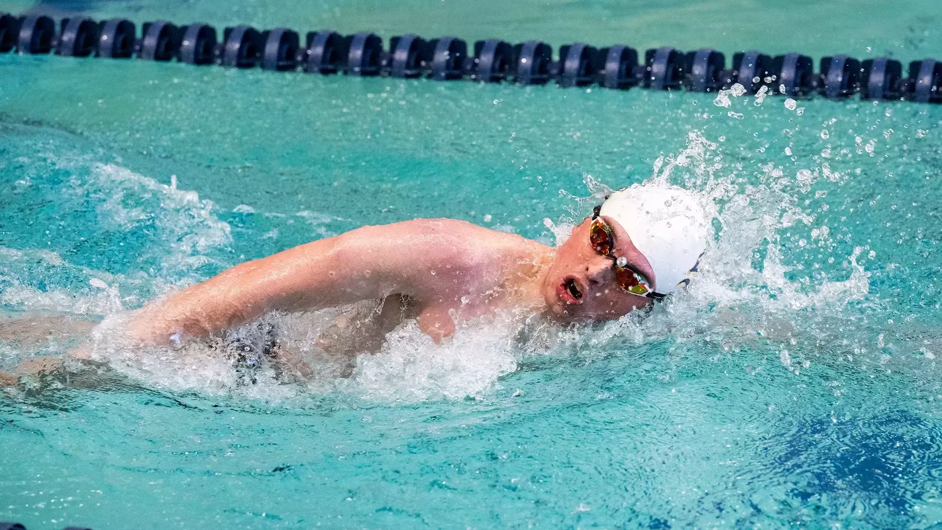 Stephen Lepine swimming freestyle vs. Elizabethtown on Nov. 8, 2025