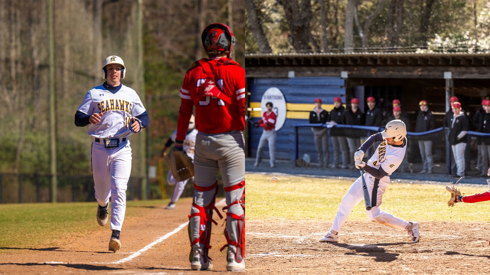 Berbakos, Tarleton All-Region 2025